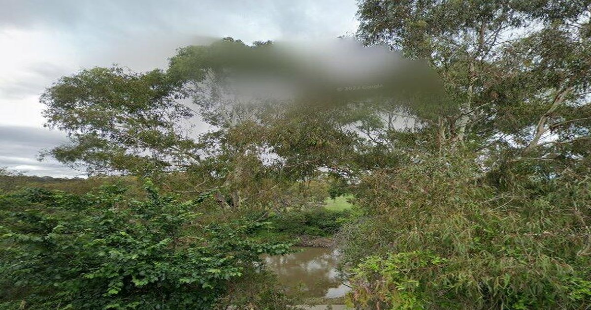 Libraries Near Abbotsford