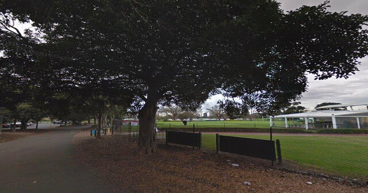 Best Japanese Restaurants in Albert Park