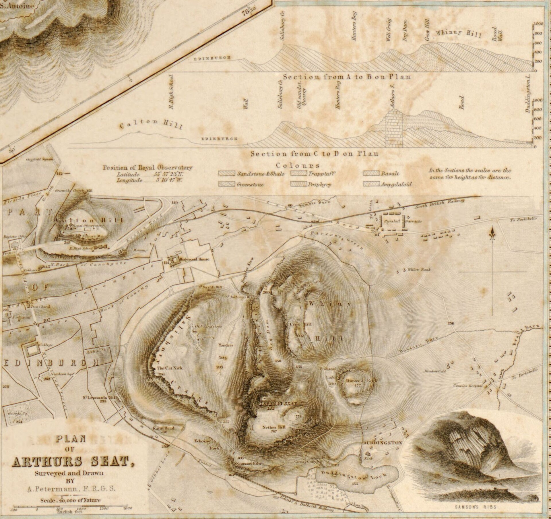 Things to Do in Arthurs Seat (2026) -- Suburb Guide