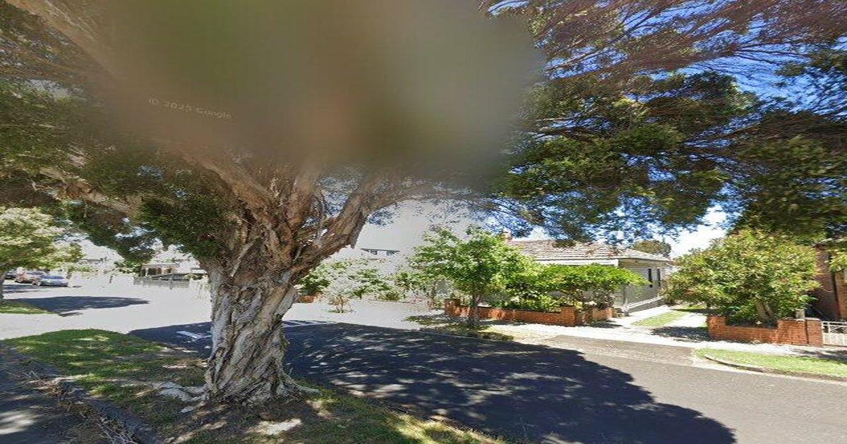 Best Pizza in Ascot Vale