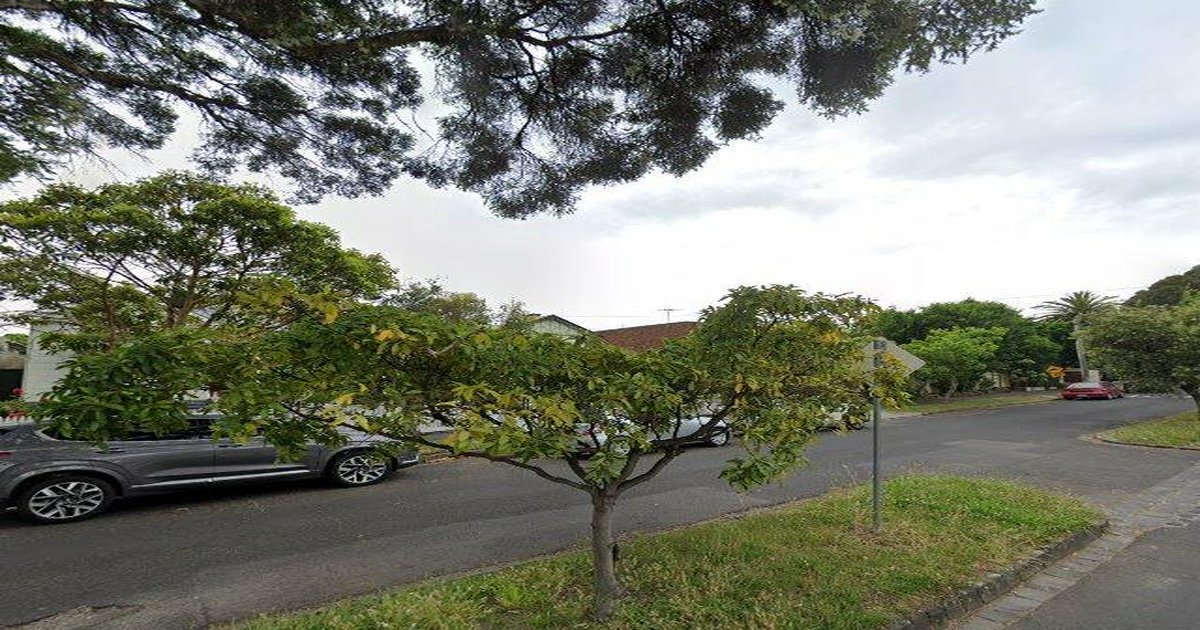 Ascot Vale Community Guide