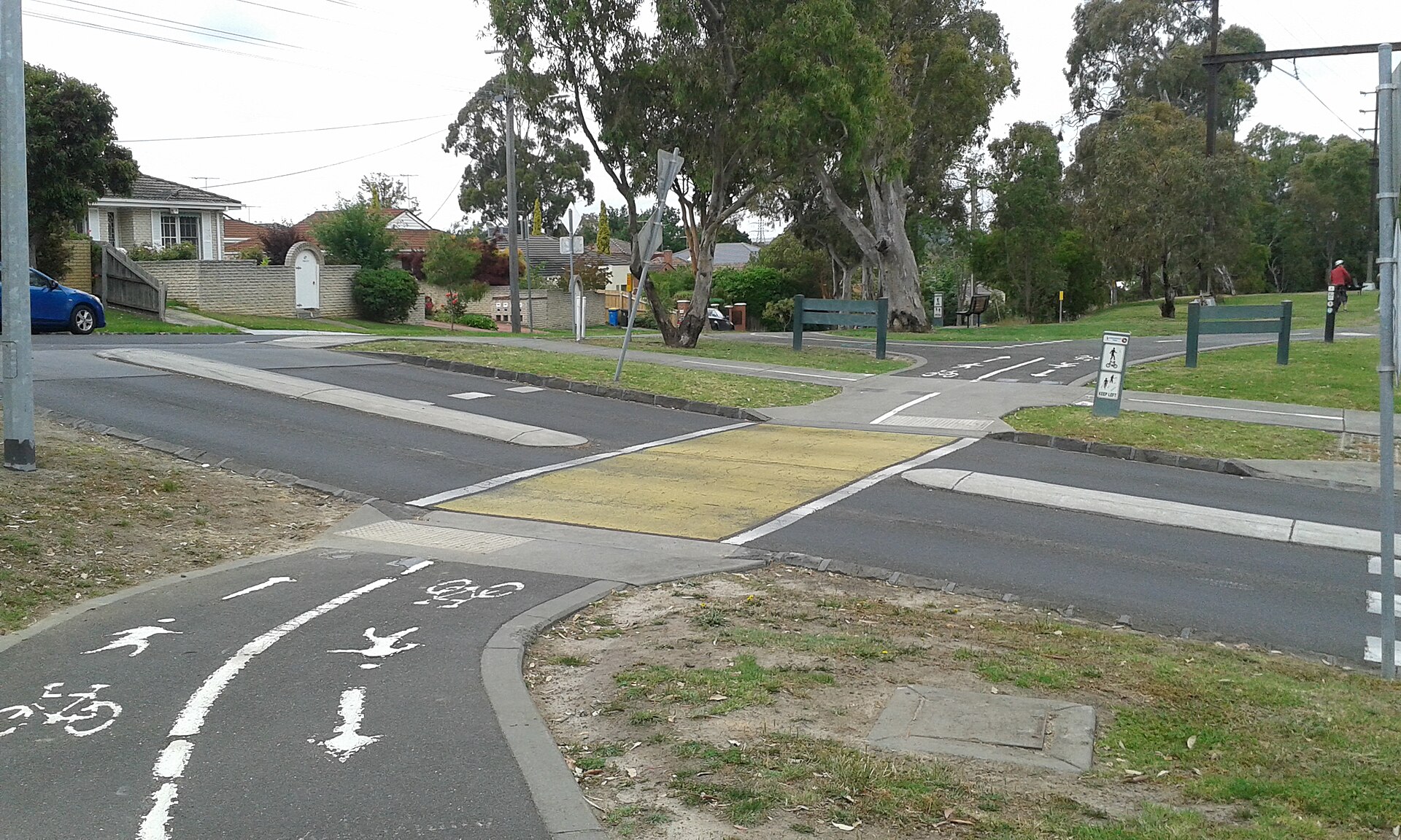 Things to Do in Ashburton: A Local's Guide (2026)