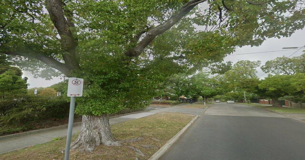 Best Japanese Restaurants in Ashburton