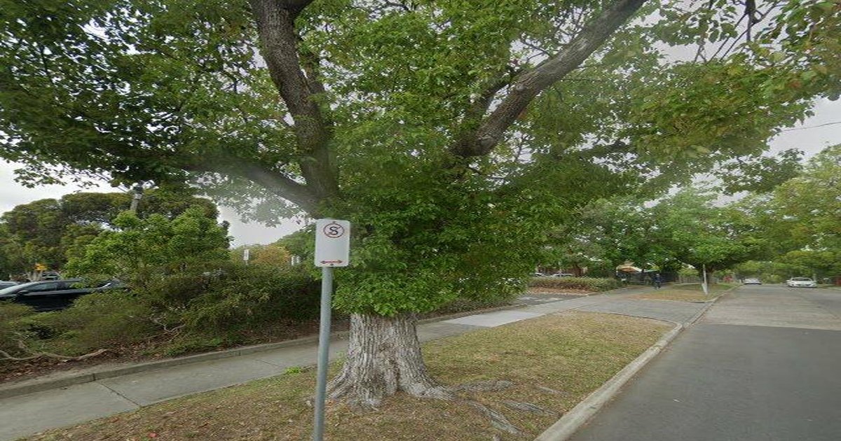 Best Pizza in Ashburton