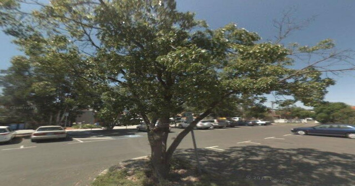 Ashburton Community Guide