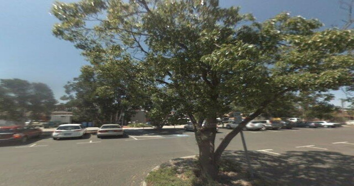 Healthcare in Ashburton — GPs & Medical Centres