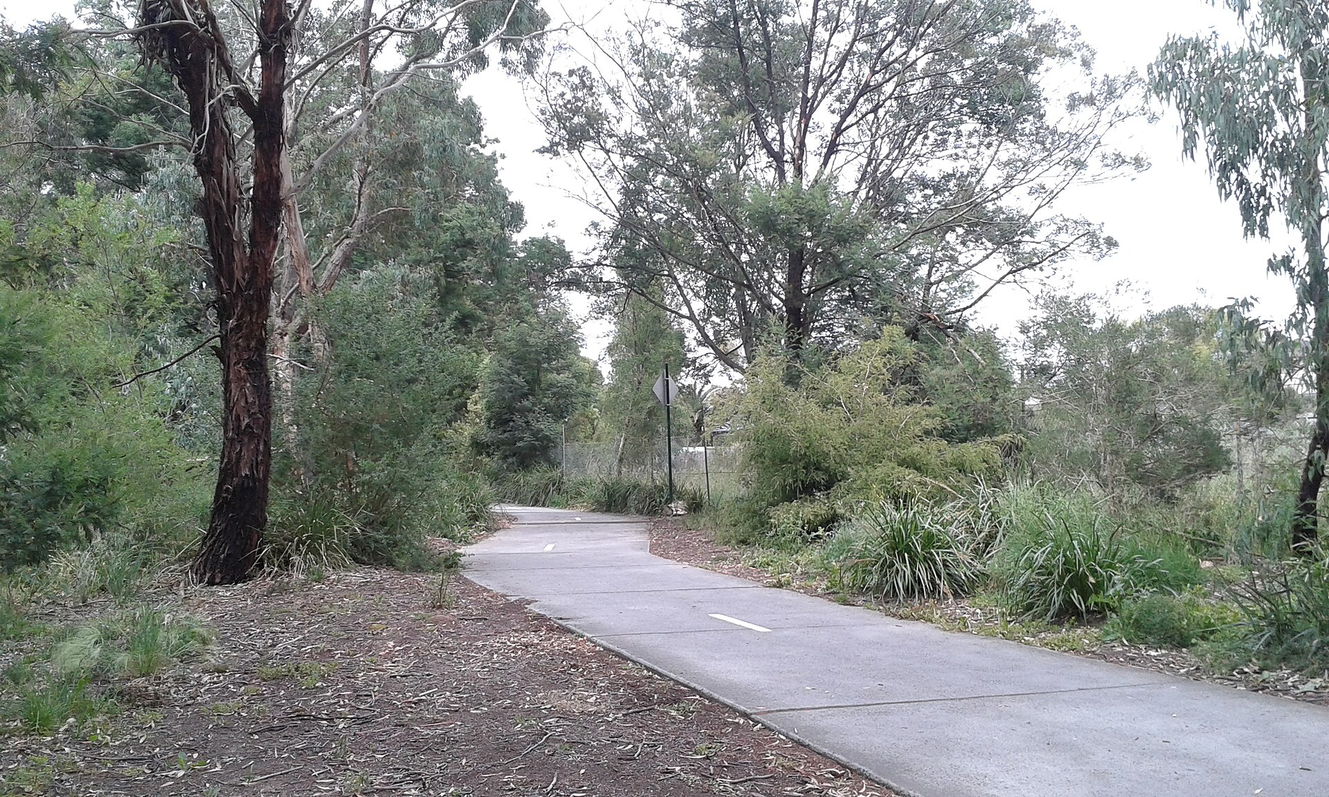 Things to Do in Ashwood (2026) -- Suburb Guide