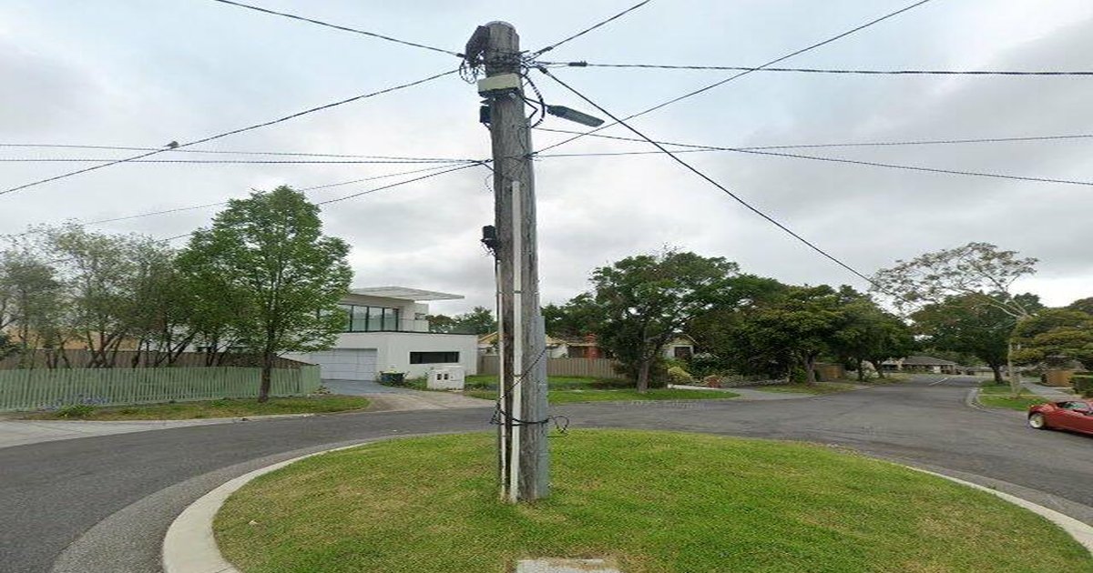 Ashwood for Families — Complete Guide