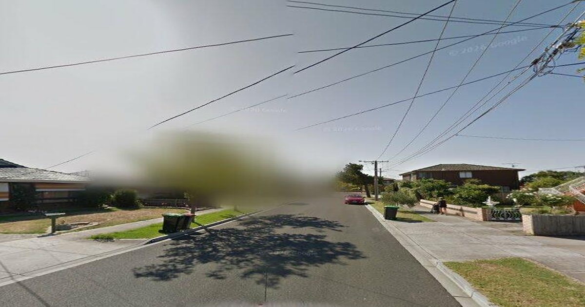 Libraries Near Avondale Heights