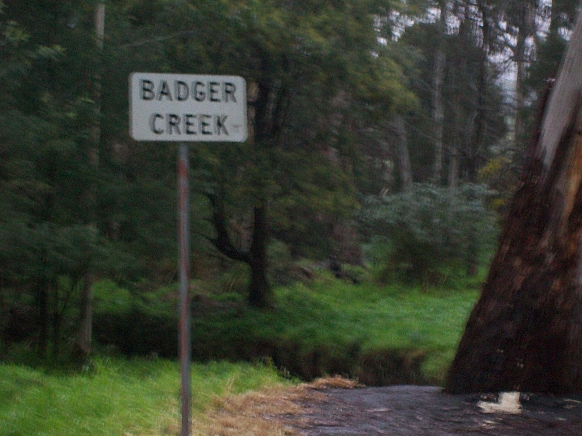 Badger Creek Brunch Guide 2026: Saturday Morning Sorted