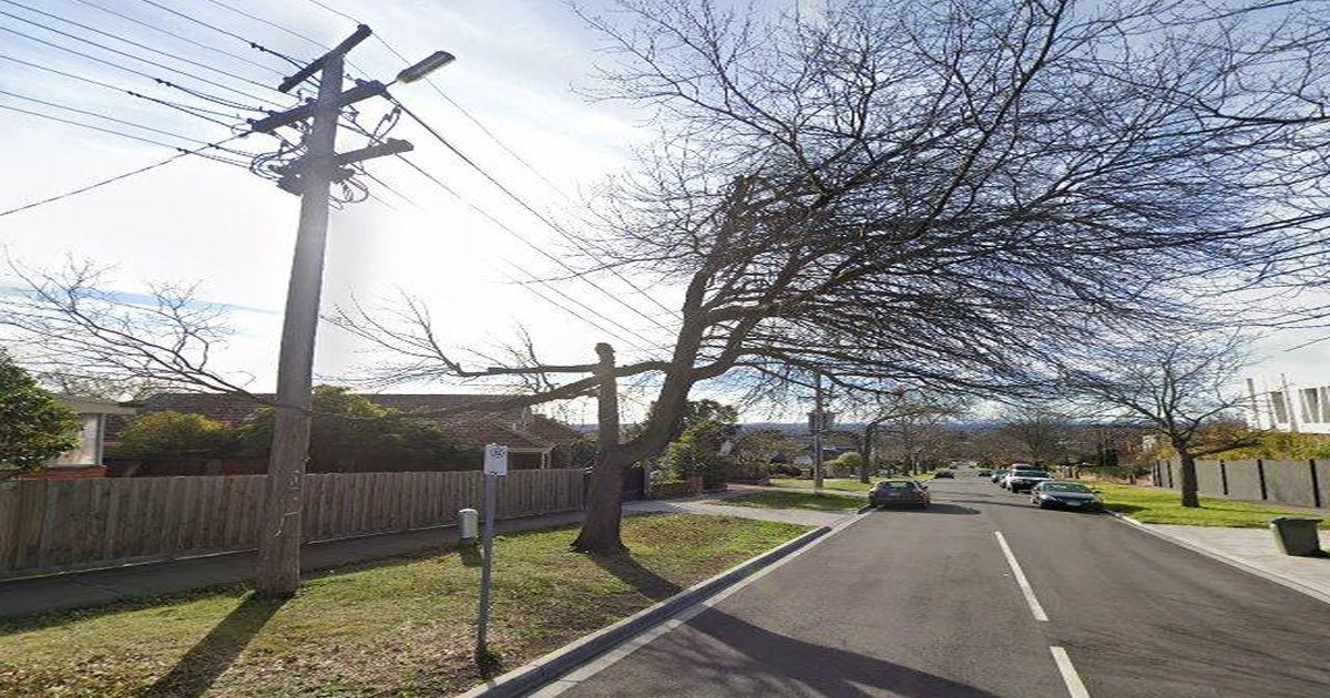 Best Bakeries in Balwyn North