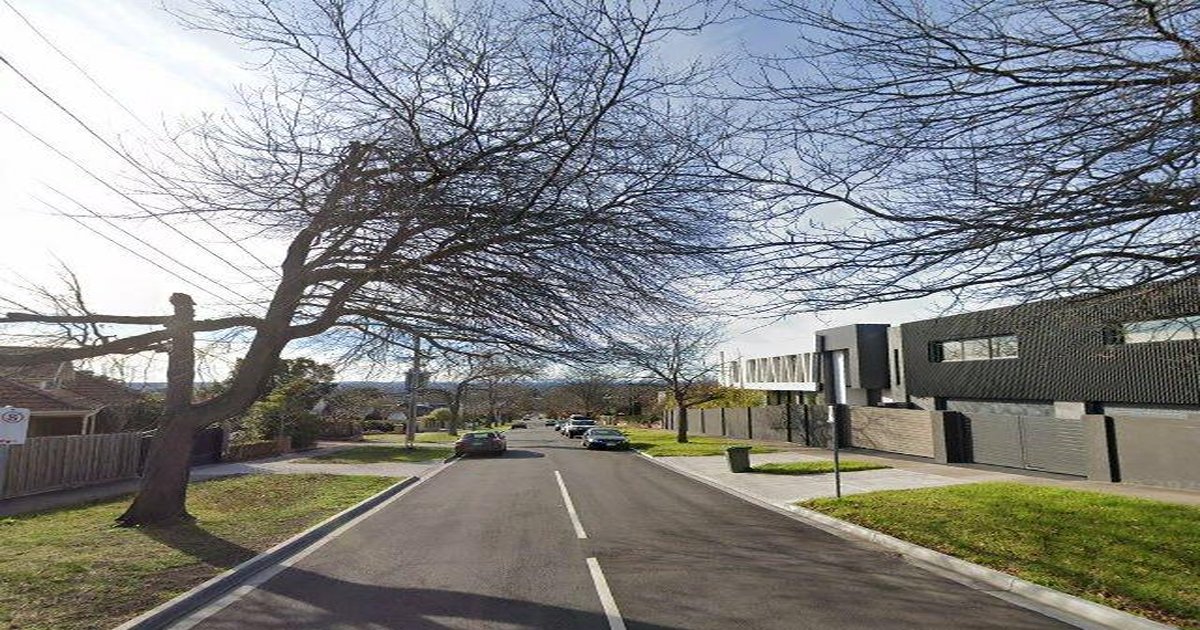 Best Takeaway in Balwyn North