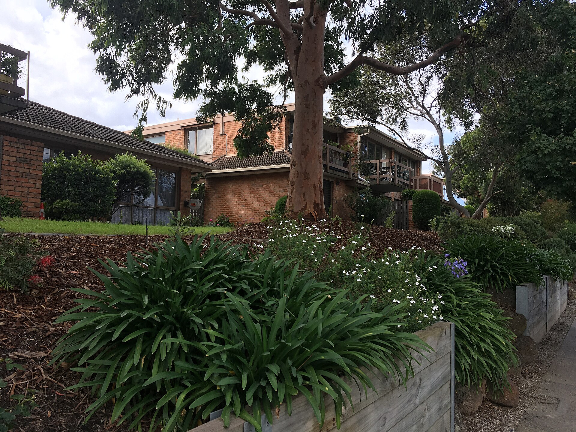Best Brunch Spots in Balwyn 2026: Where Locals Actually Queue