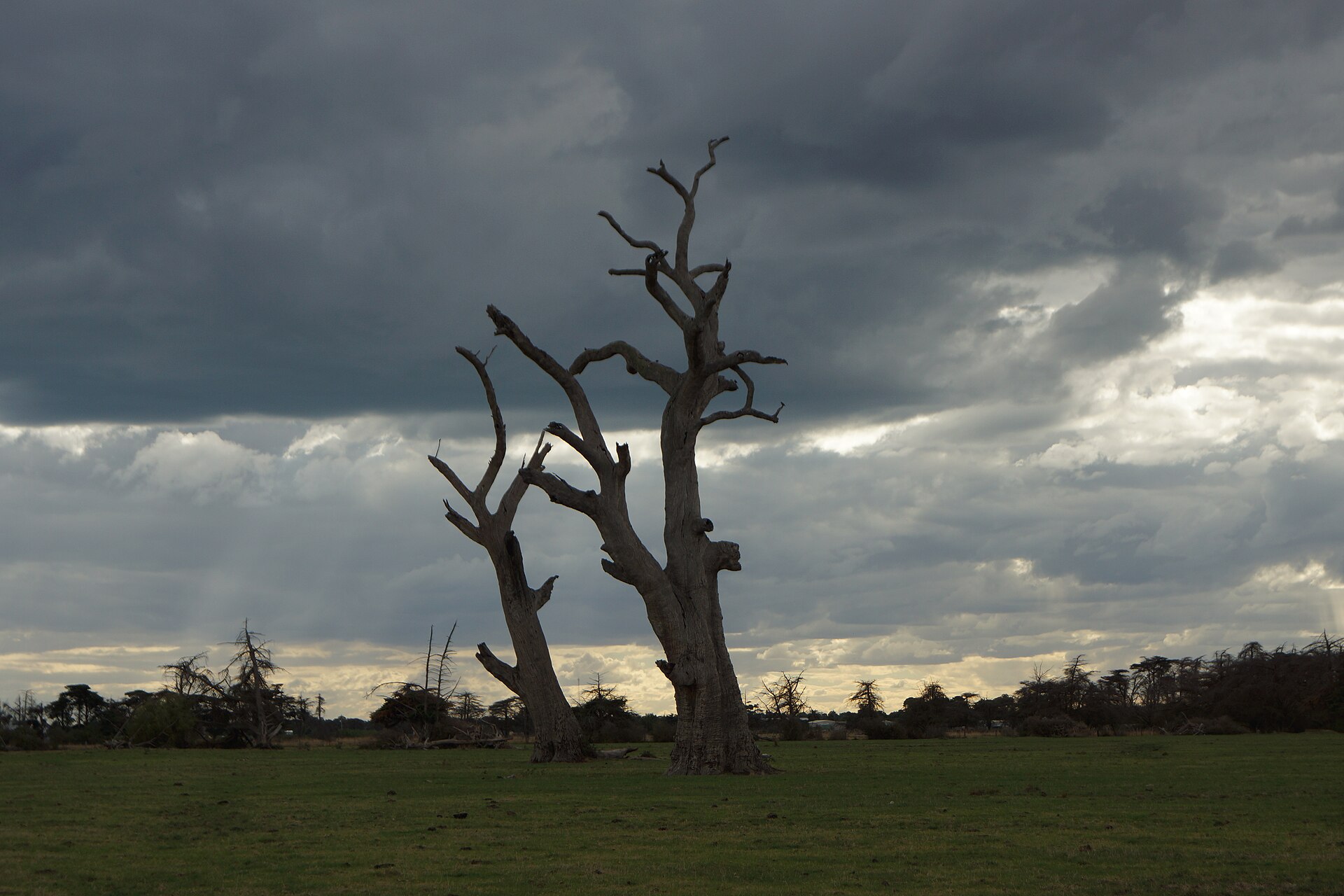 Your Guide to Bangholme (2026) -- Transport, Parks and Local Character