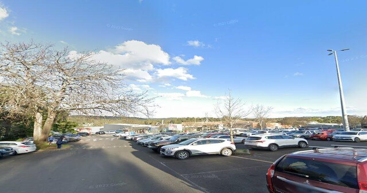 Best Japanese Restaurants in Belgrave