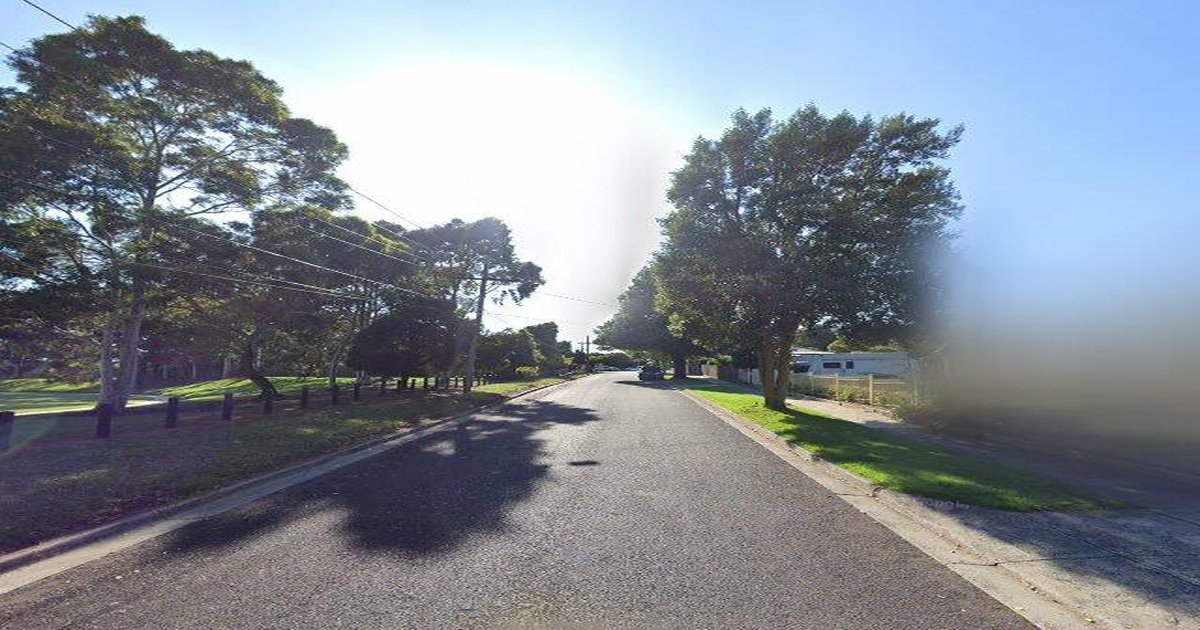 Boronia for Young Professionals