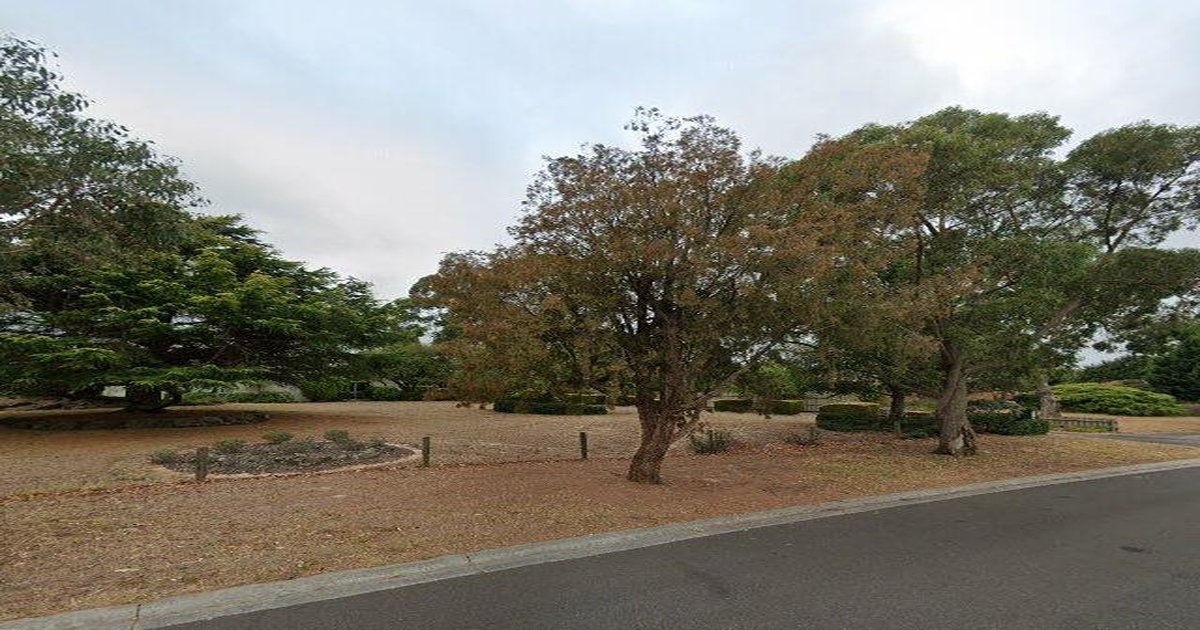 Healthcare in Botanic Ridge — GPs & Medical Centres