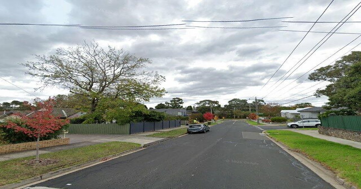 Box Hill North as an Investment