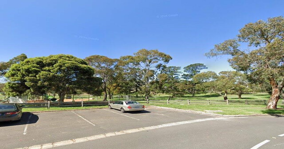 Moving to Box Hill North — Relocation Guide 2026