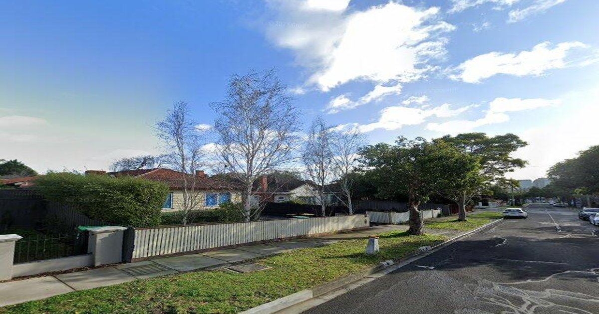 Honest Guide to Box Hill South