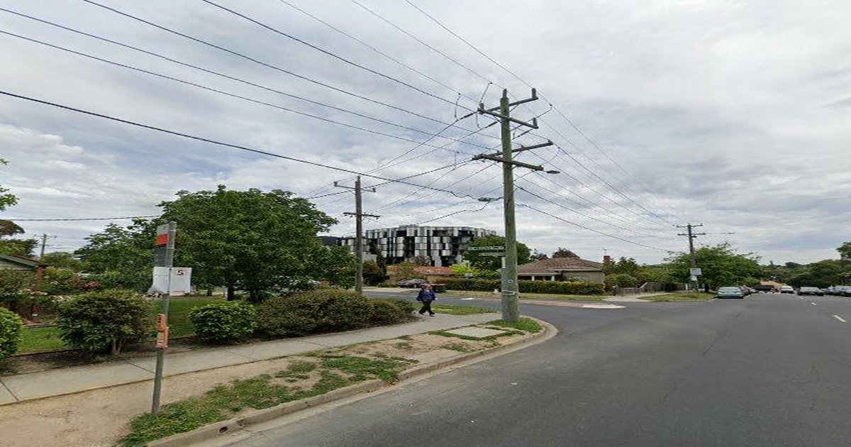 Box Hill for Families — Complete Guide