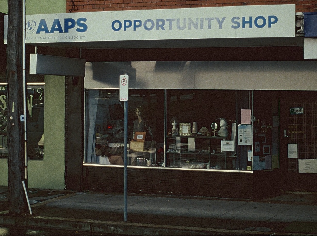 Best Schools Near Brighton 2026: Zones, Rankings & Real Reviews