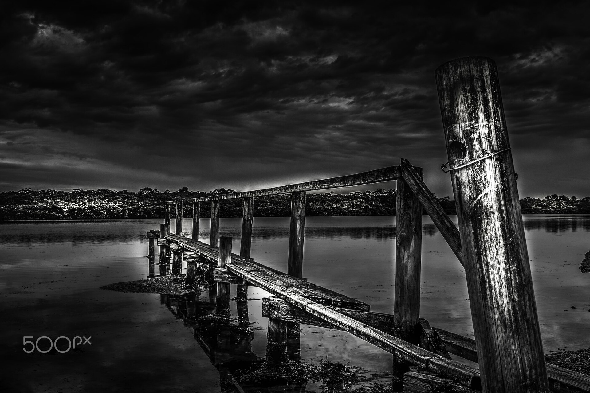 Things to Do in Cannons Creek (2026) -- Suburb Guide