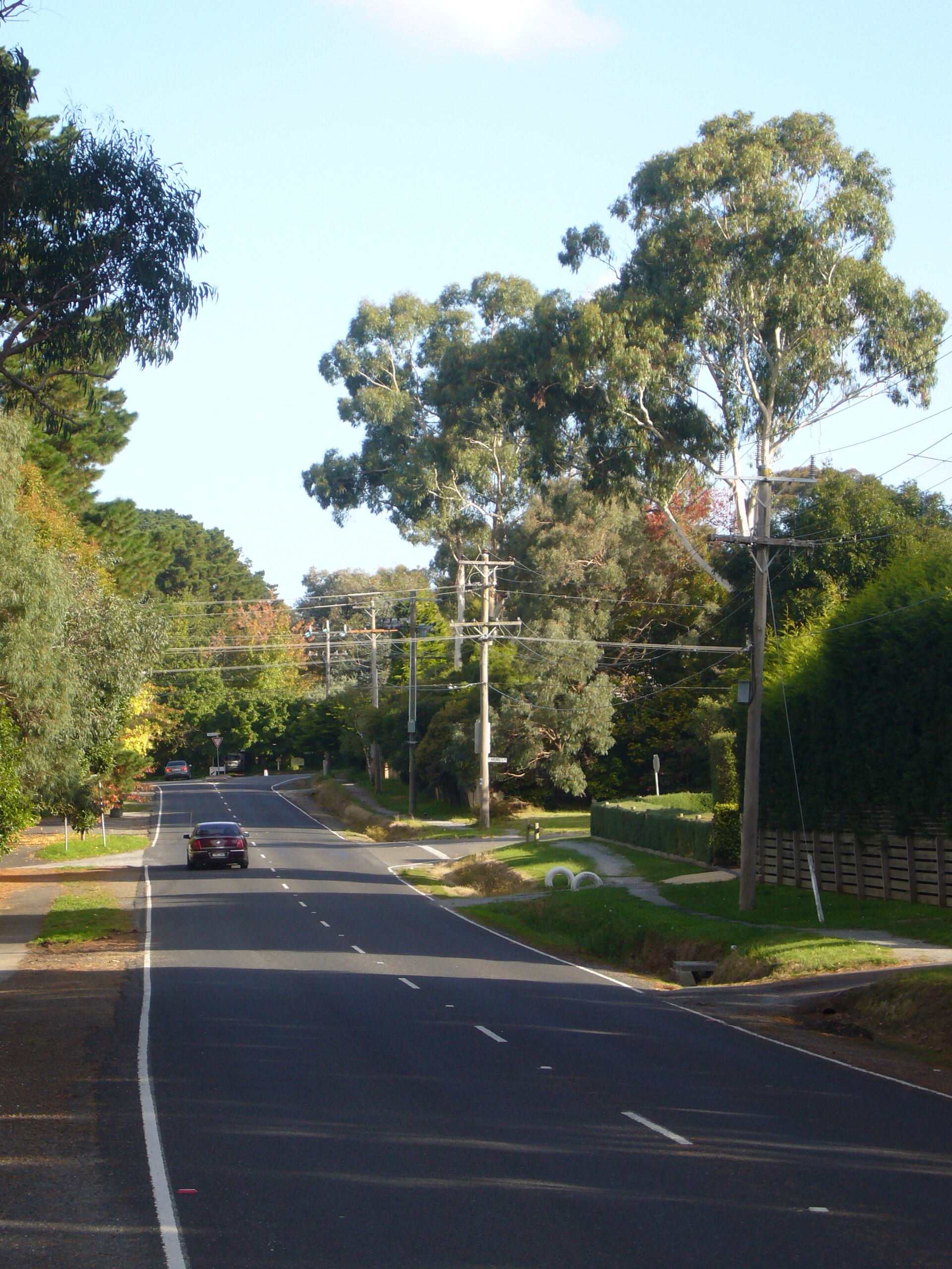 Things To Do in Autumn Melbourne Suburbs 2026 2026
