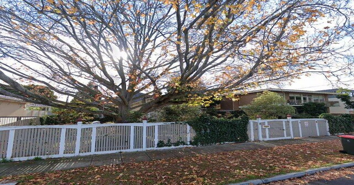 Healthcare in Caulfield North — GPs & Medical Centres