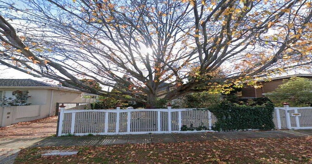 Sports Clubs in Caulfield North