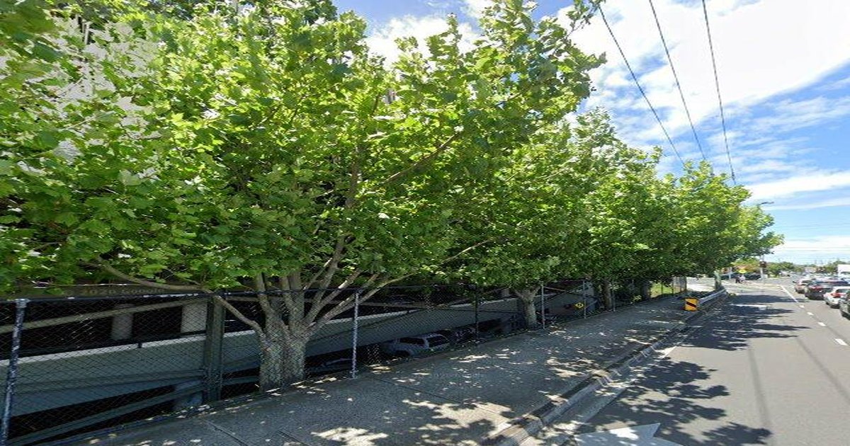 Best Pizza in Chadstone