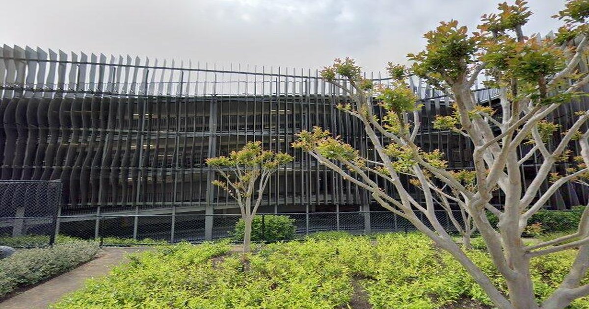 Chadstone Rental Market 2026