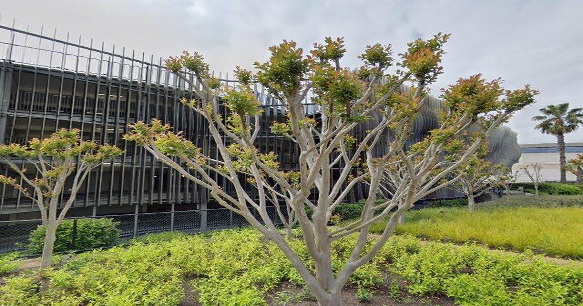 Running & Cycling Routes in Chadstone