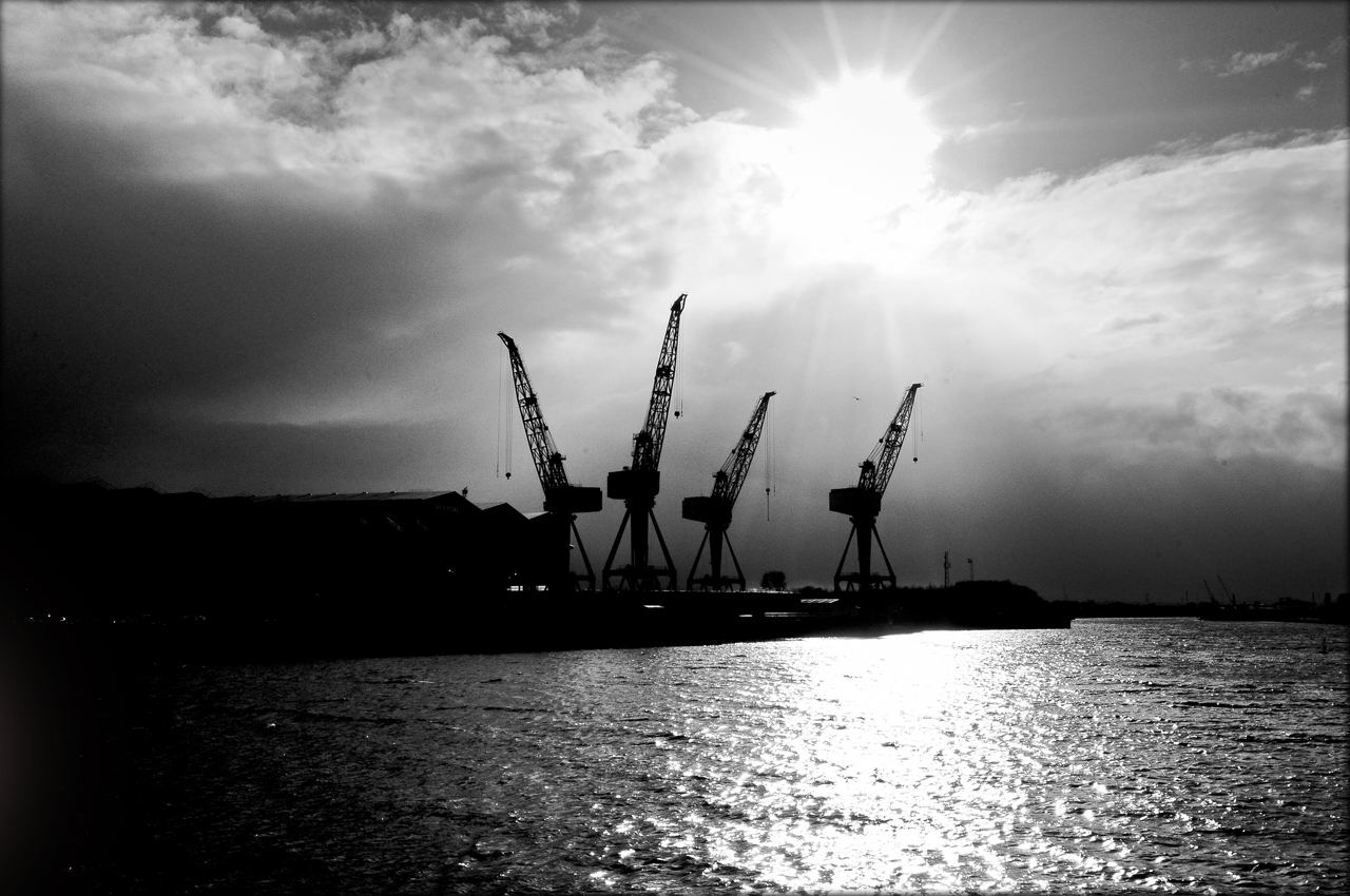 Your Guide to Clyde (2026) -- Transport, Parks and Local Character