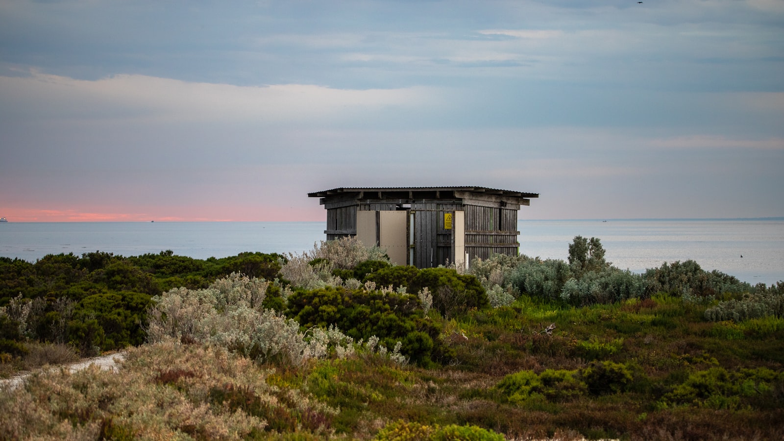 Exploring Cocoroc: What to Know Before You Visit (2026)