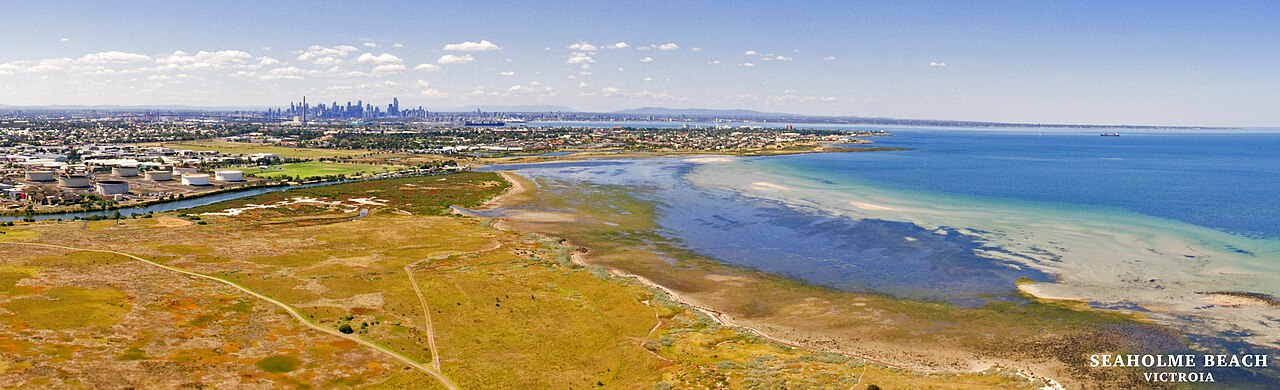 Aerial panorama of Seaholme Beach and coastal grassland