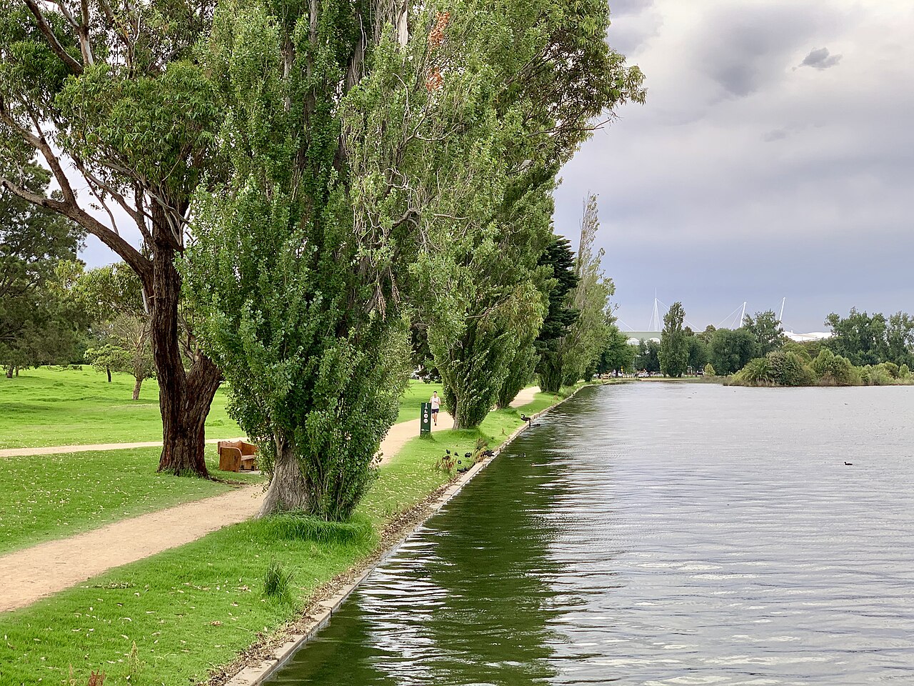 Albert Park Lake edged with poplars