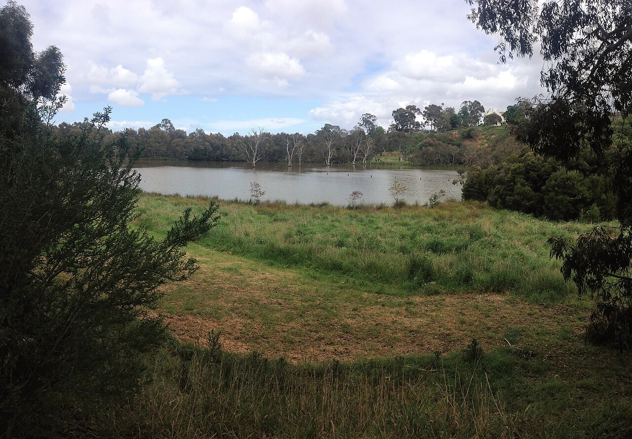Banyule Swamp wetland and grassland in Viewbank
