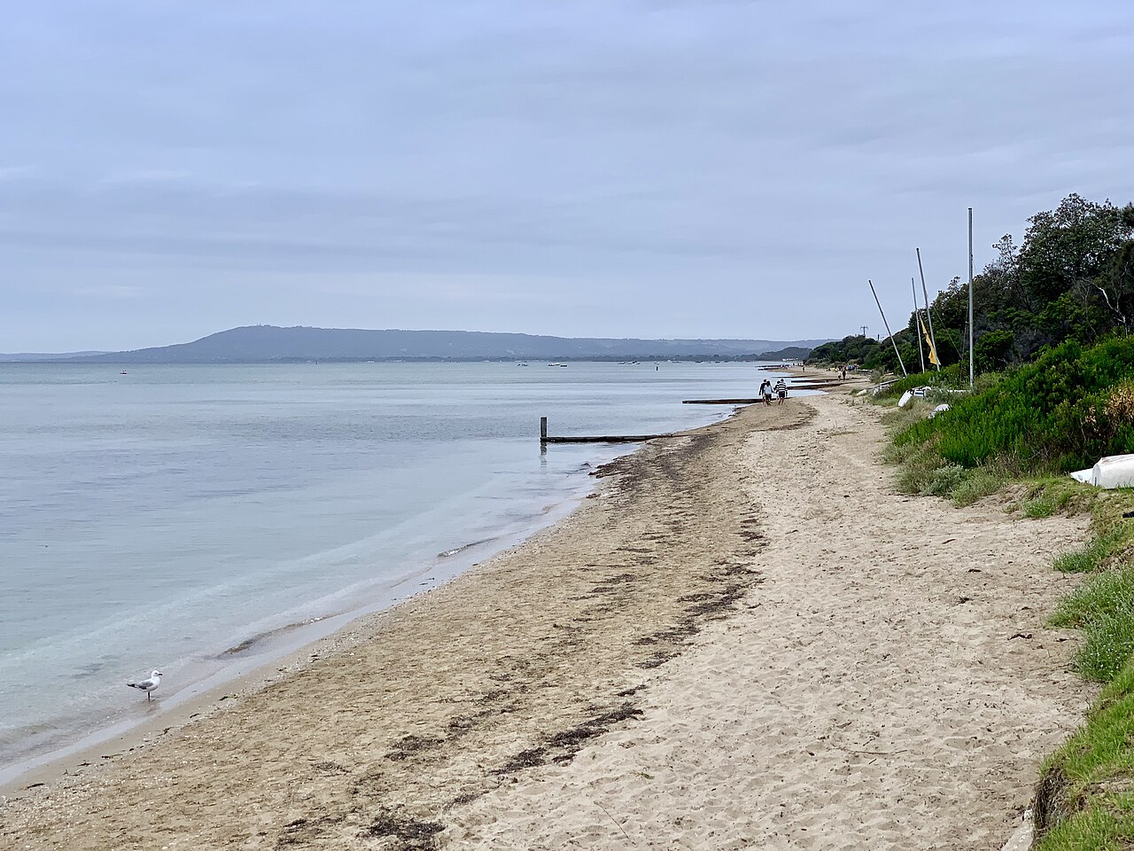 Blairgowrie beach on the bay