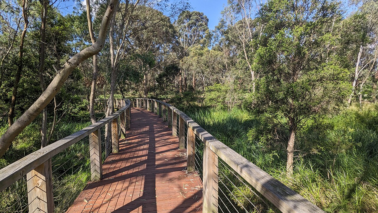 Boardwalk in the wetlands at Koonung Creek
