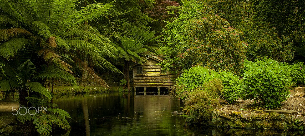 Boathouse on a lake surrounded by ferns and trees