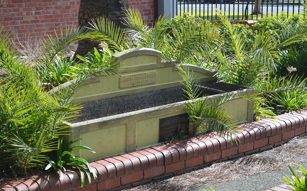 Bills horse trough in Box Hill among plants