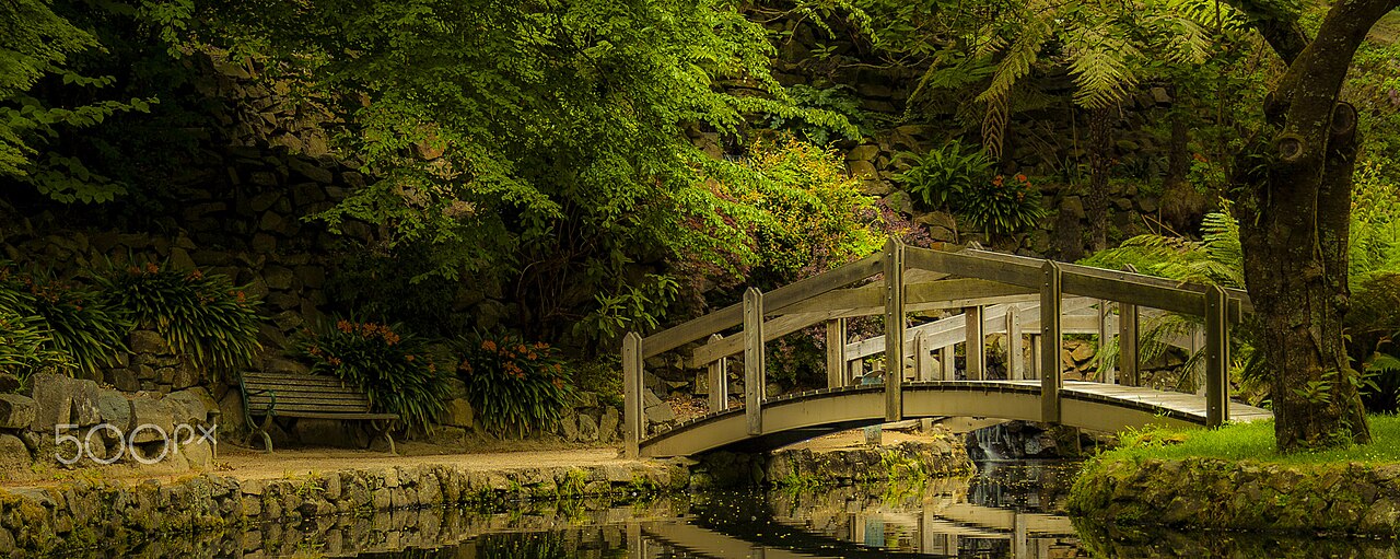 Footbridge over calm water in a leafy park