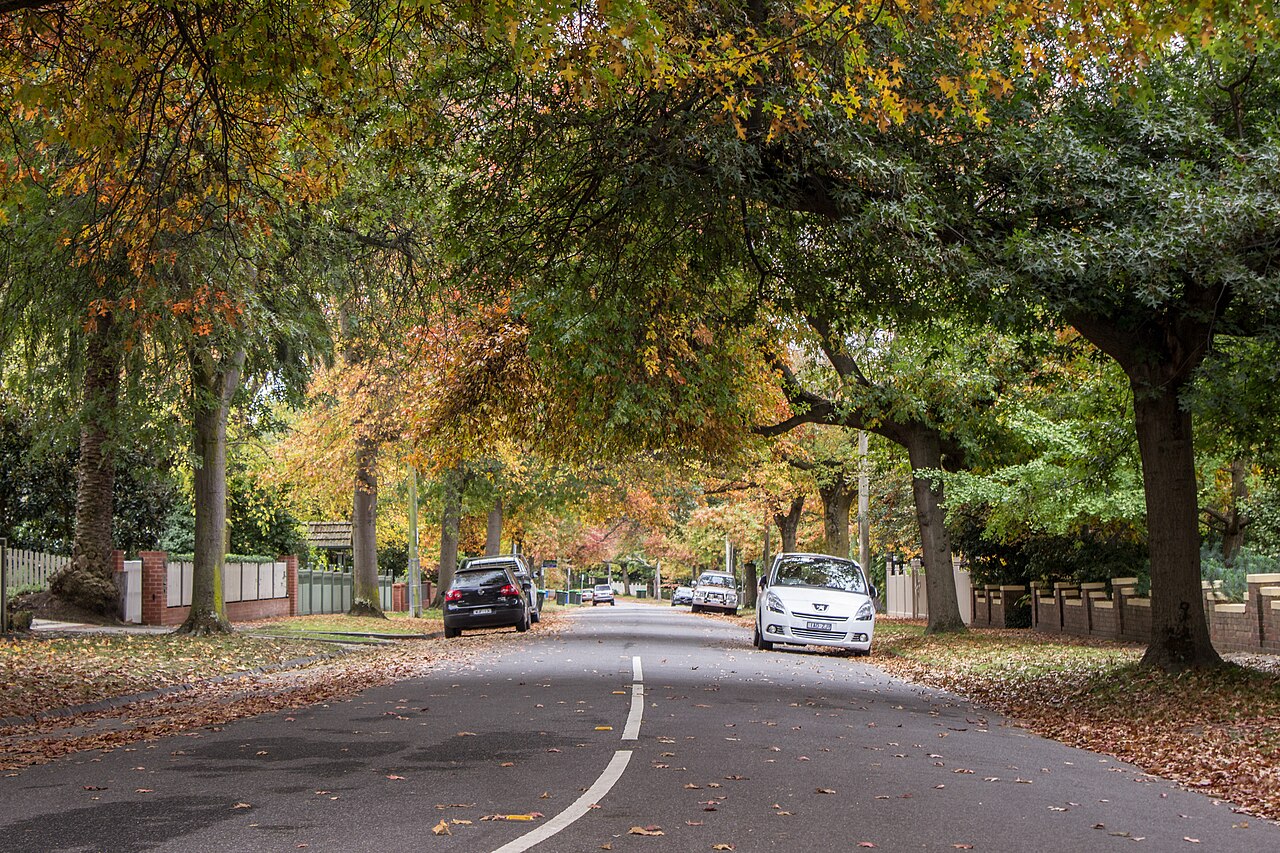 Broadway in Camberwell under autumn trees