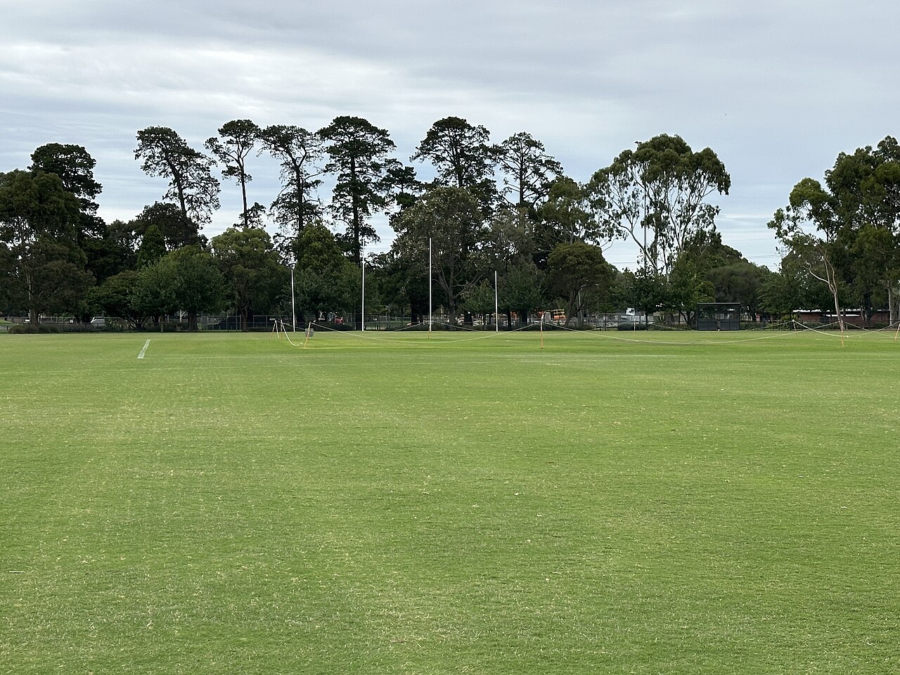 Playing field at Central Reserve