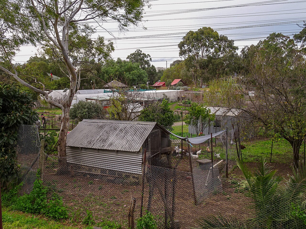 Garden plots and sheds at CERES Community Gardens