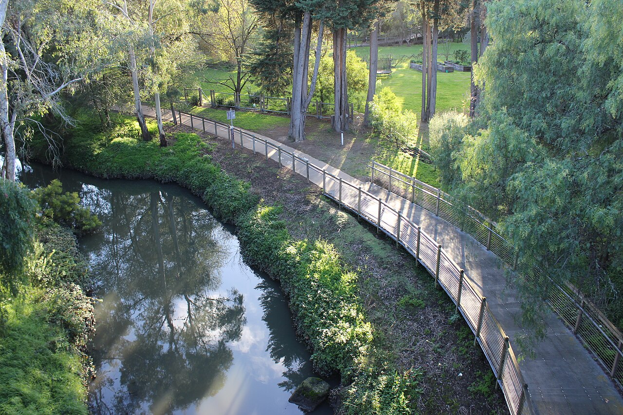 Darebin Creek Trail boardwalk beside the creek