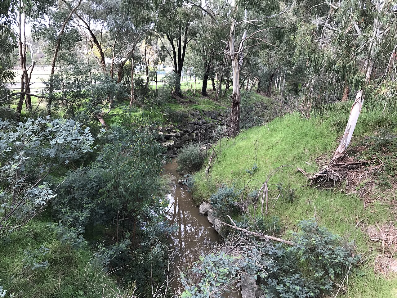 Diamond Creek running through a grassy, wooded gully