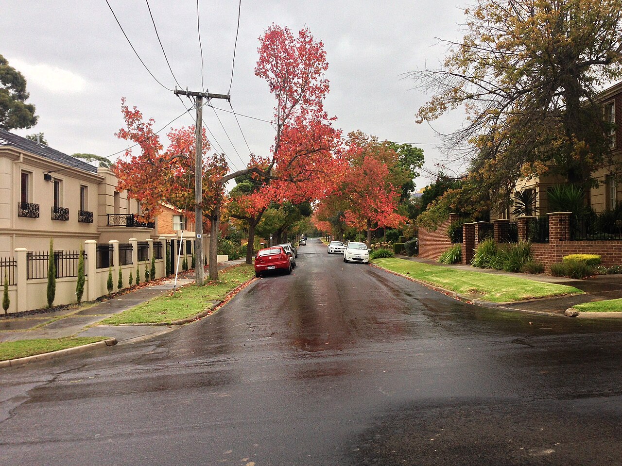 Dunstan Street, Balwyn North, with autumn trees after rain