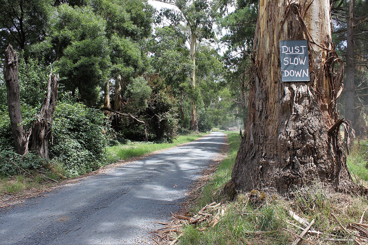 Gravel bush road beside a gum tree with a 'Dust - slow down' sign